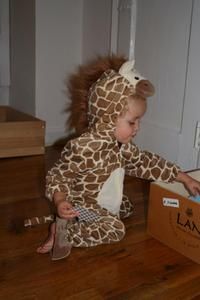 girafon2.JPG