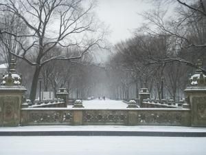 neige-central-parc--2-.JPG