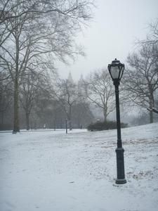 neige-central-parc.JPG