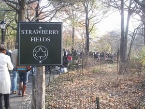 strawberry-fields.JPG