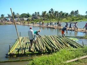 prostituées tamatave
