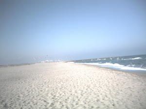 PICT0008-bis.jpg