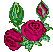 roses-rouges-2-boutons.gif