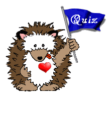 Quiz.gif