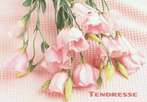 tendresse.jpg