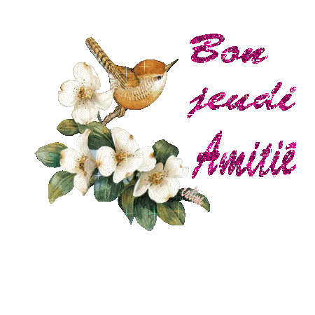 bon_jeudi_amitie.gif