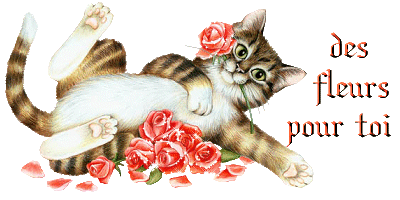 chat-fleurspourtoi.gif
