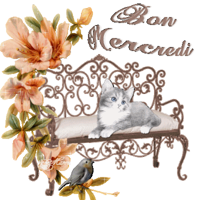 bo-mercredi-copie-3.gif