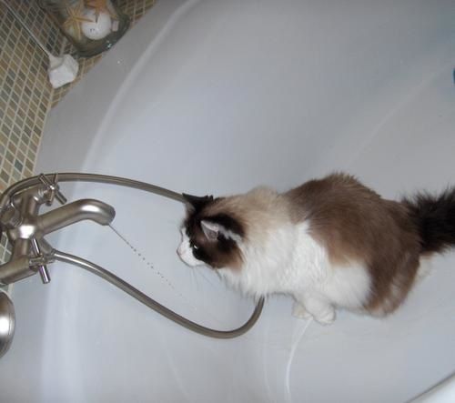 bain.JPG