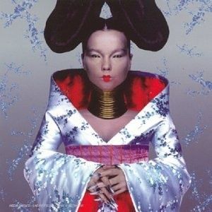 1013-988044380-bjork-H135428-L.jpg