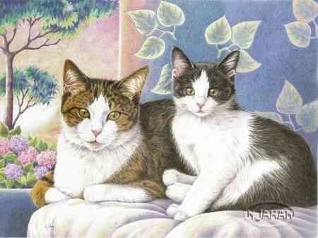 --deux-chats.jpg