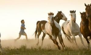 Into-the-wild-de-Sean-Penn.jpg