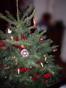 20071215Sapin.jpg