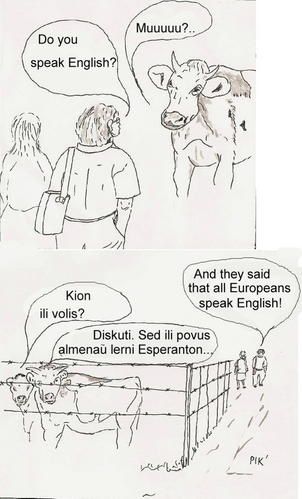 vaches3.jpg