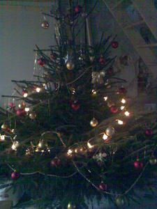 Photo014-copie-1.jpg