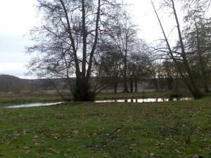 Photo091.jpg