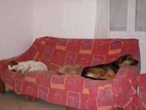 DSCF1280.jpg