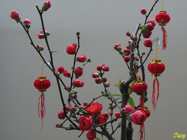 Marché aux fleurs en Chine à Guangzhou (Canton) en 2009