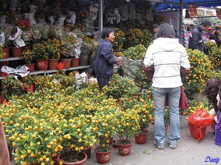 Marché aux fleurs en Chine