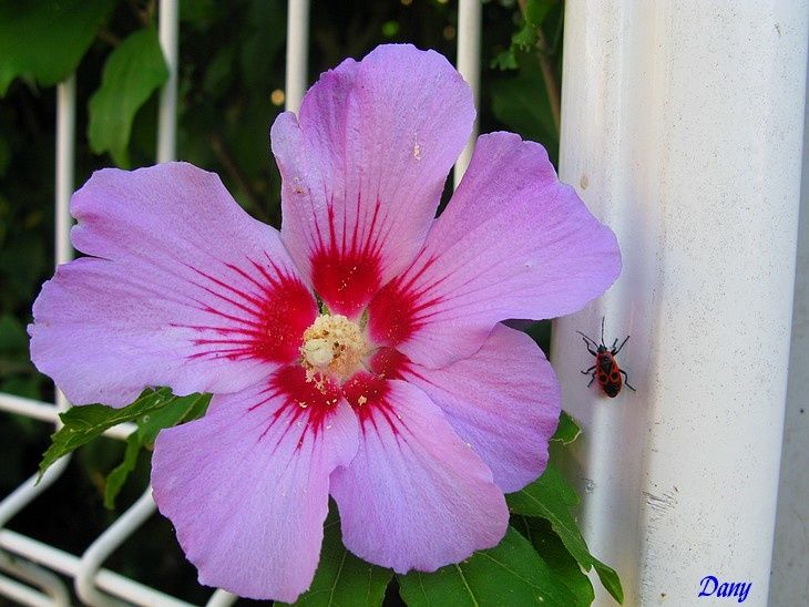 Photos de notre appart en vendee