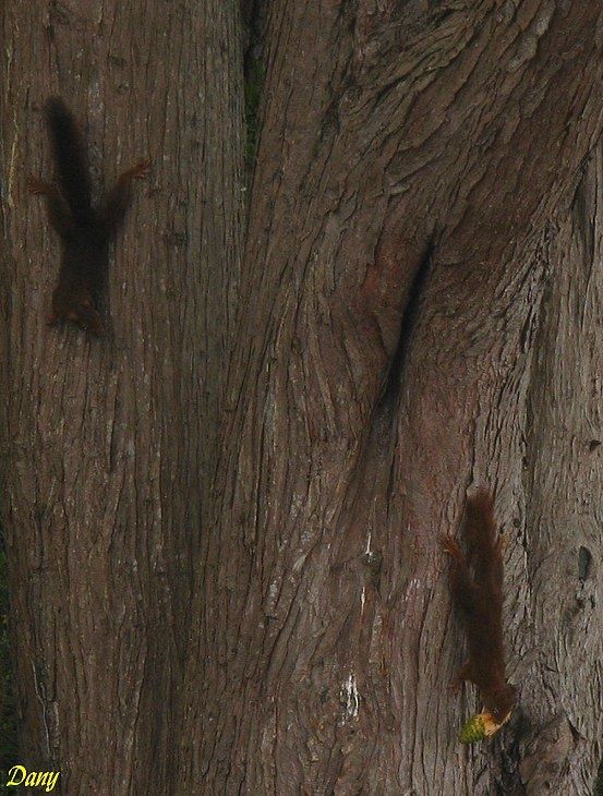 Photos de notre appart en vendee
