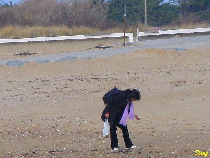 Le 08-02-10 Promenade en bord de mer Vendéenne