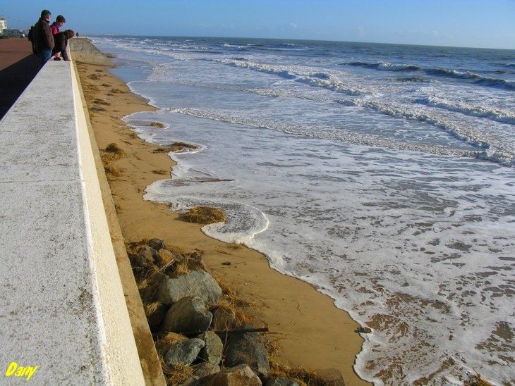 Plage-des-Demoiselles 28-02-2010 001