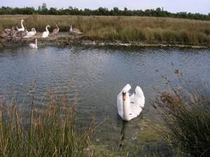 DSCN5569.jpg