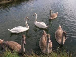 DSCN5578.jpg