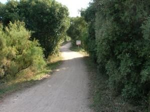 DSCN5608.jpg