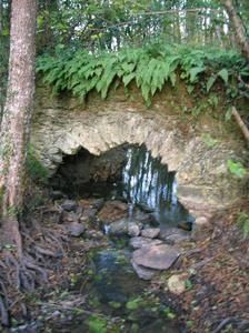 DSCN6227.jpg