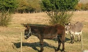 DSCN6363.jpg