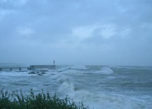 DSCN6443.jpg
