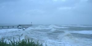 DSCN6459.jpg
