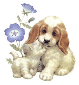 chat-chien-bouge.gif