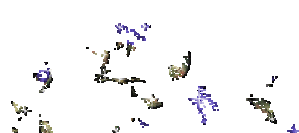 79b33ddaac.gif