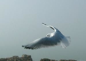 DSCN6709.jpg