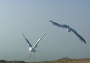 DSCN6710.jpg
