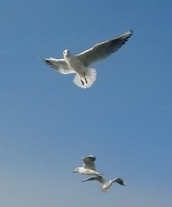 DSCN6719.jpg