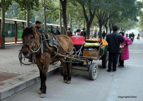 Transport.2-Oct2007.jpg