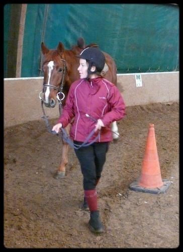 Rencontre equitation