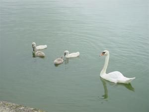 dsc02290-copie-1.jpg