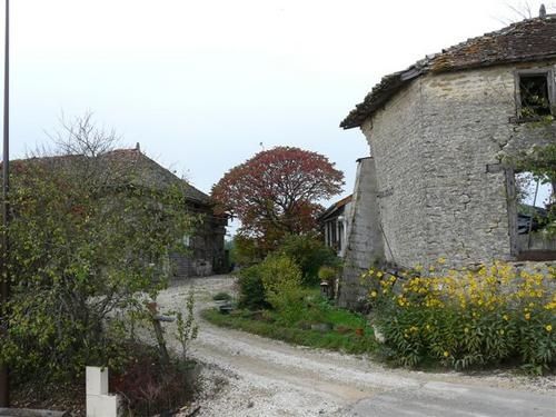 p1000682-copie-1.jpg