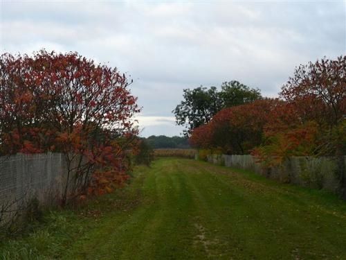 p1010017.jpg