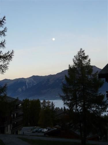 p1010710-copie-1.jpg