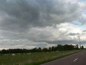 p1040097.jpg