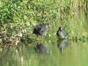 p1040277-copie-1.jpg