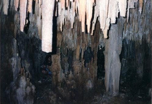 Num--riser0017-copie-2.jpg