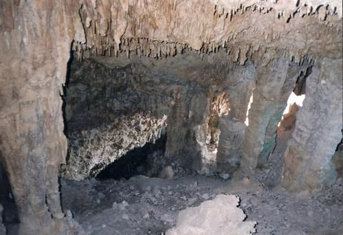 Num--riser0018-copie-1.jpg