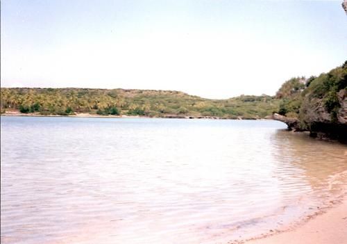 Num--riser0031-copie-1.jpg